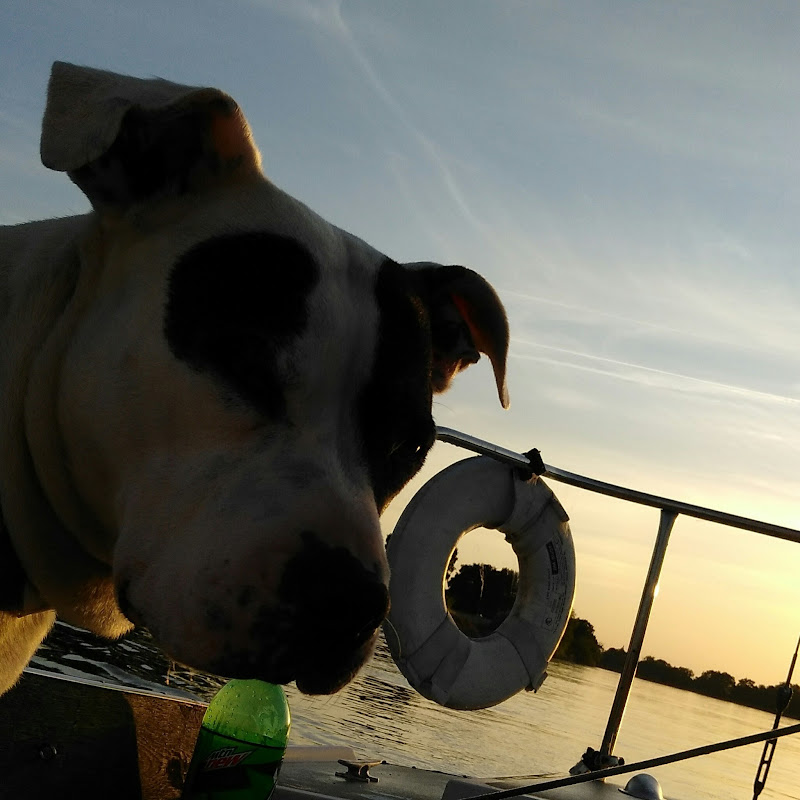 sailing_lil_gypsy