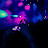 @flnitnw's avatar