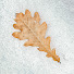 isvaAvwirLk-channel-avatar-IDEL'