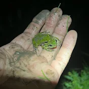 年中夏休みチャンネル