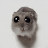 @aaaaaAaaaaaauud Avatar