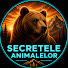 y20v6RSxJv4-channel-avatar-Secretele Animalelor