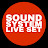 soundsystemliveset