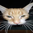 a7Qbynyh85g-channel-avatar-Coyyol