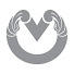 P7y7_SK6u1E-channel-avatar-Vidya Myanmar