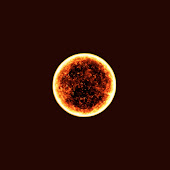 Cosmic Atlas