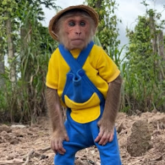 Monkey Abu Avatar