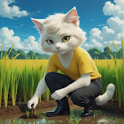 Adorable Cats