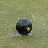 8XbR4ODhnHc-channel-avatar-Bowls Observer