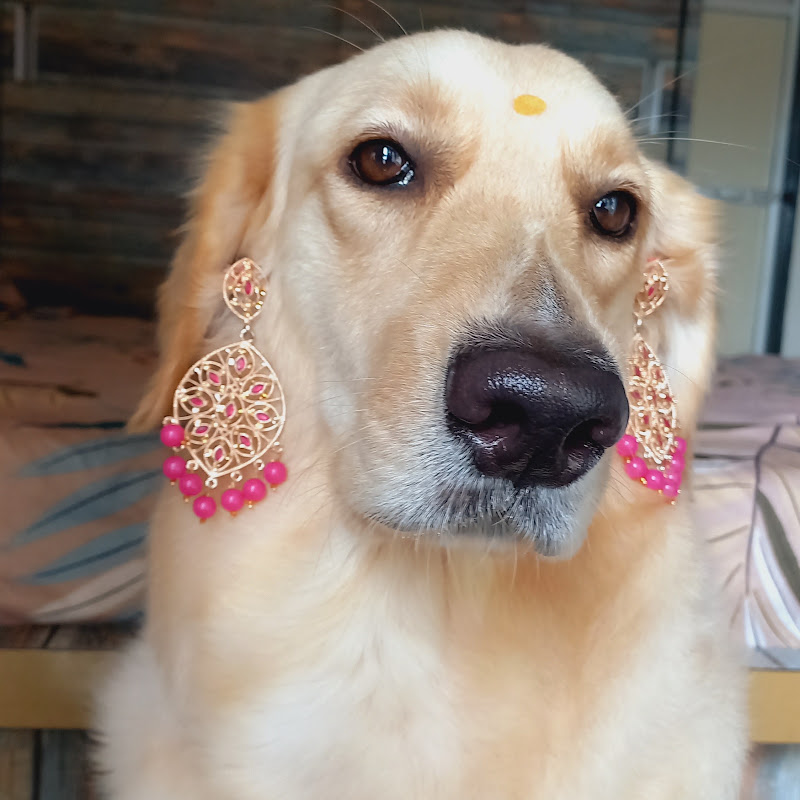 Stella Golden cutie