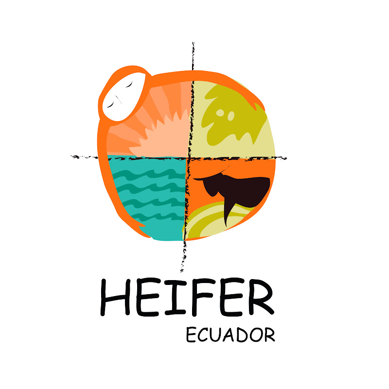 Heifer Ecuador