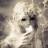 @saraAlhamdan7