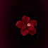 DRaV2No9bvo-channel-avatar-Rayan R.