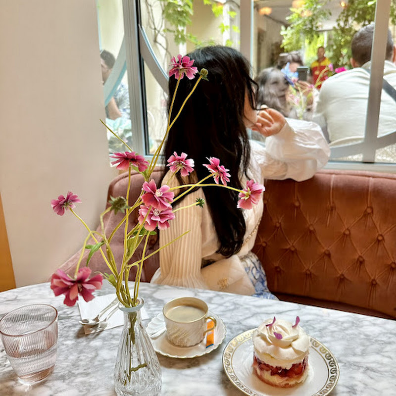 Peony NY 피오니 뉴욕