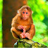 KLWBAAo3OrY-channel-avatar-Baila’s Wild Life