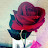 @فوفو-ر7غ4س
