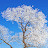 @لولوليلي-ر3د
