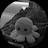 avatar of @ayeshasharif-f4j