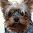 @radzillov's avatar