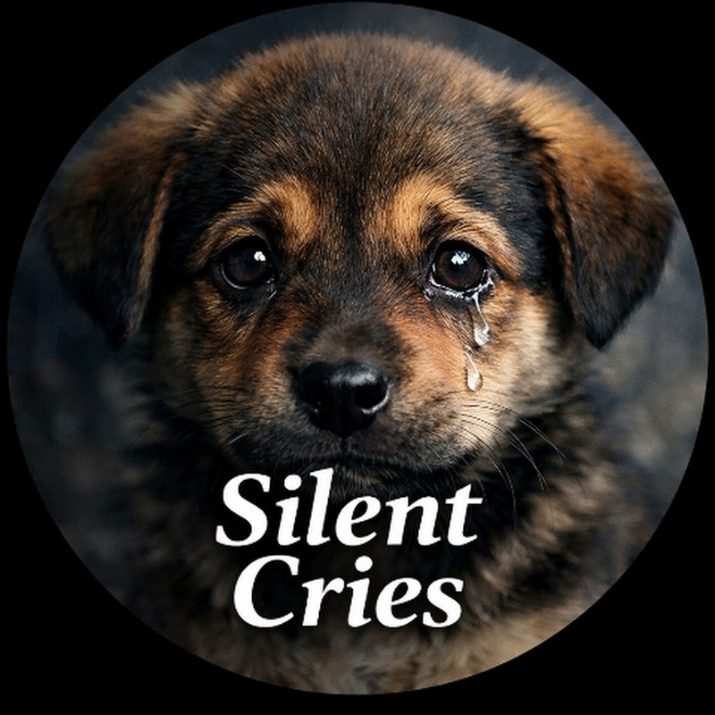 Hire Silent Cries — Pets & Animals YouTube creator for sponsorships