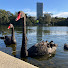 8Y7ExXA2N3k-channel-avatar-The Sydney Traveller