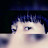 @ddol1tv