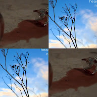 thumbnail img1x1