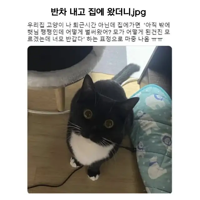 BlockNote image