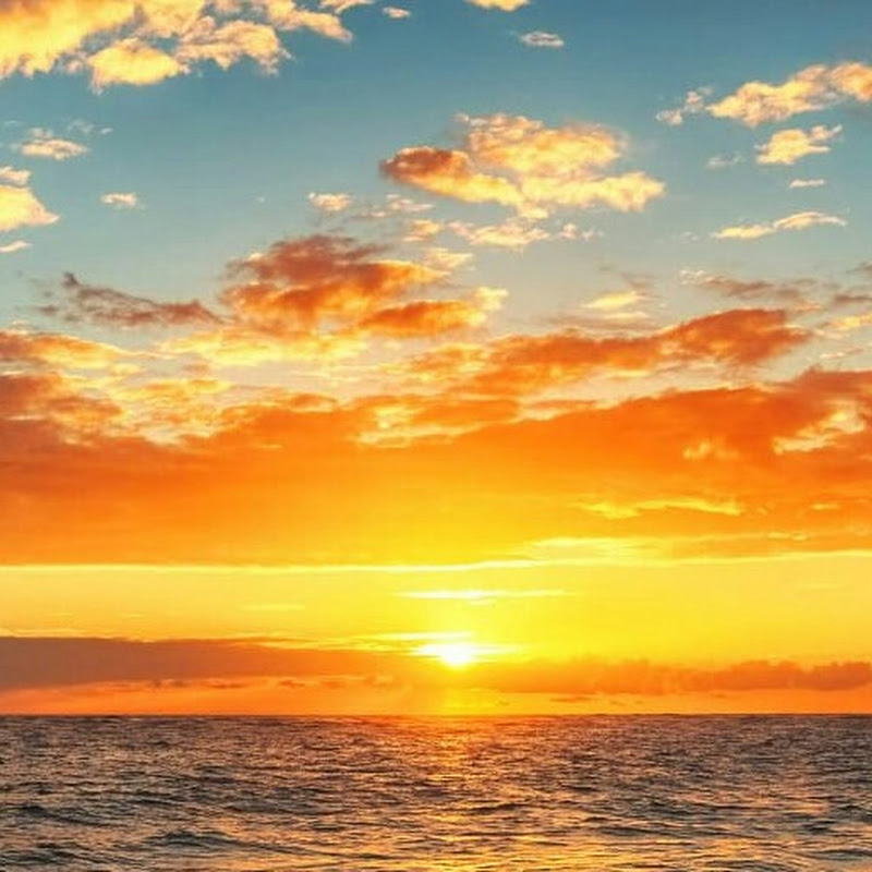 Amazing Amiras Celebs and Hobbies