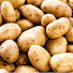 haXnt5d61no-channel-avatar-PotatoVision144p