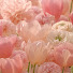 q4STiqsW4h4-channel-avatar-Mellow Garden