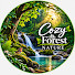 RUGbjKQtDQg-channel-avatar-Cozy Forest Nature