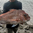 UGLa_WqYP4U-channel-avatar-Jackson’s Fishing Adventures