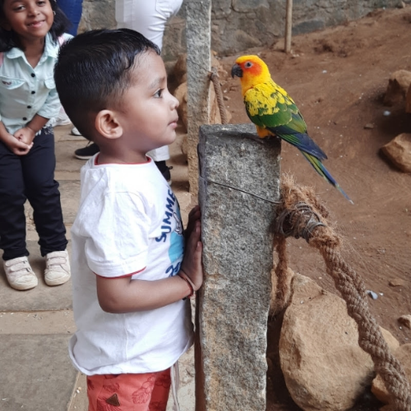Abhyant Mehta