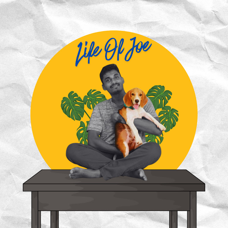 Life Of Joe