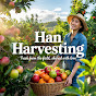 Han Harvesting logo