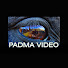 3ulkLHqHZ3g-channel-avatar-Padma Video