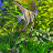 @PabloGarcia-ng6wg Avatar