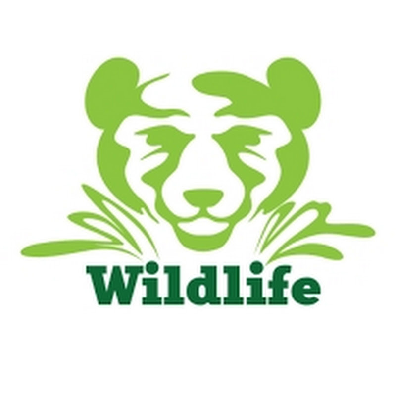 Wildlife07