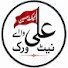 720boxwzv-A-channel-avatar-Ali Waly network 