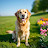 @Sreehari-d8x