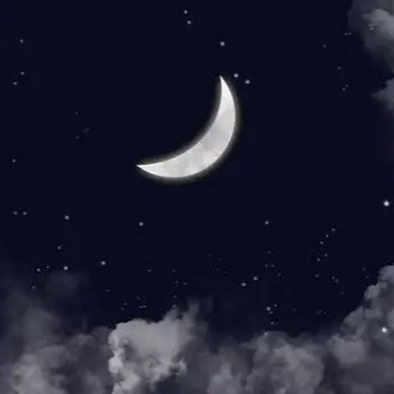 夜幕剪影