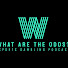 poB-FrLT2dg-channel-avatar-What Are The Odds SGP 