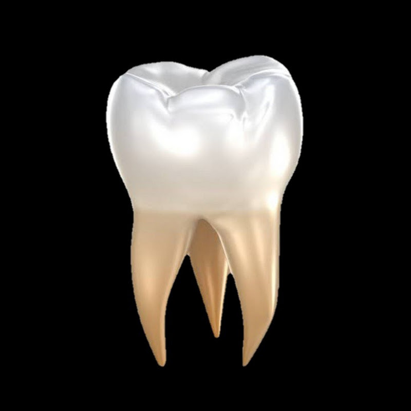Dental Health Tips