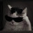 @user-fq3oq583pg9tFarida
