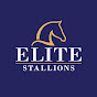 Elite Stallions logo