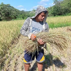 Ka Bukid Vlogs