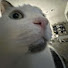 4hC6BycHIoA-channel-avatar-eyca.ca____