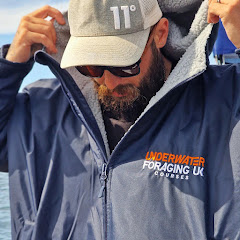 bearded spearo