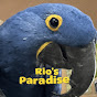 Rio's Paradise logo